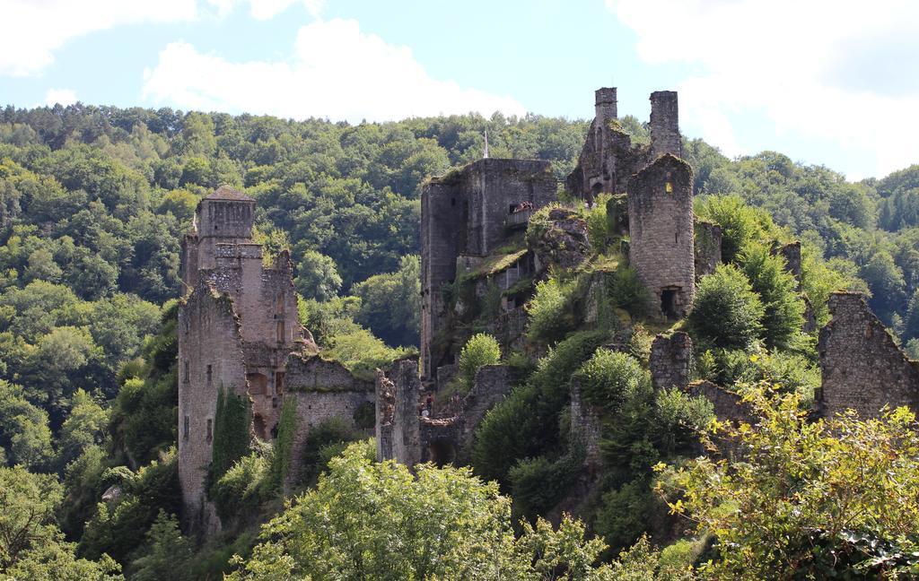 Gite de la Genevrière Saint-Chamant Extérieur photo